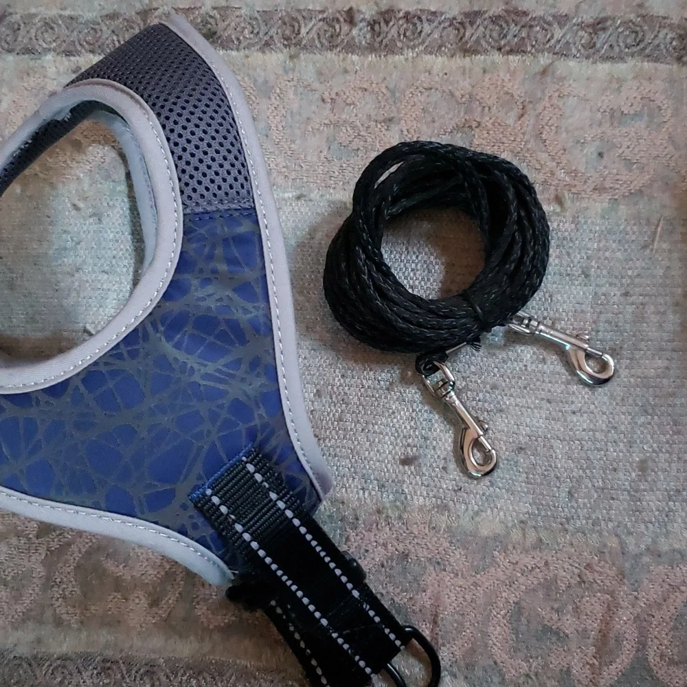 Large cat harness with long leash included